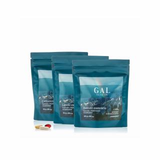 GAL Multivitamin – 90 adagos utántöltő