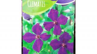 Kerti Iszalag, Clematis 2 lit. kont. polish spirit