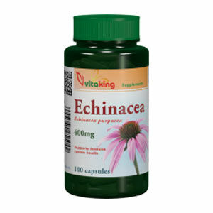 Echinacea - Bíbor kasvirág