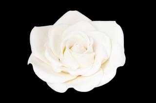 Cukorvirág Agatha óriás rózsa