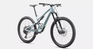 2025 Specialized Stumpjumper 15 Comp