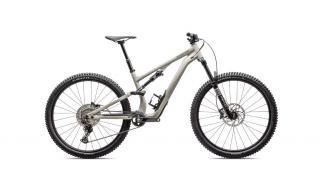 2025  Stumpjumper 15 Alloy