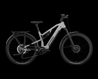 R Raymon Crossray 29", L váz,  8 S Essa, timelessgrey/black/jade, e-trekking bike
