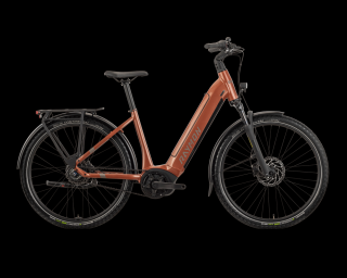 R Raymon Metmo e-city bike