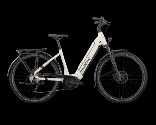 R Raymon Metmo Pro e-city bike