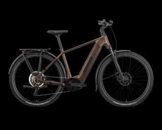 R Raymon Tahona e-trekking bike