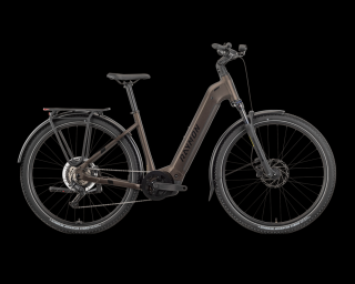 R Raymon Tahona Wave 29", M váz, 8S Essa, tenmokubrown/black/honey, e-trekking bike