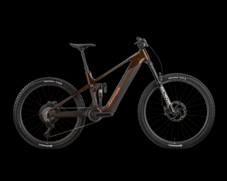 R Raymon Tarok Air e-mountain bike