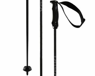 Völkl Speedstick Carbon síbot