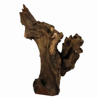 Barico Root gyökér S / 15-20 cm