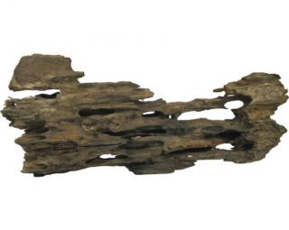 Caruqa Root gyökér M / 0,35-0,55 kg