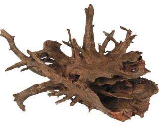 Corbo Root gyökér L / 50-70 cm