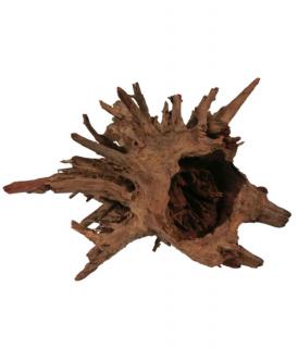 Corbo Root gyökér M / 40-50 cm