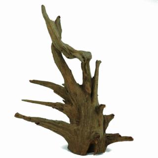 Corbo Root gyökér S / 30-40 cm