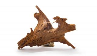 Driftwood fa XL / 30-55 cm