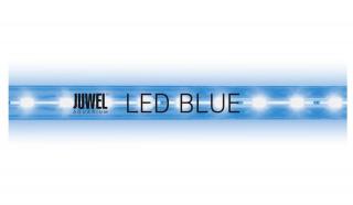 Juwel LED Blue fénycső 12 W / 438 mm