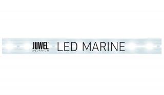 Juwel LED Marine fénycső 12 W / 438 mm