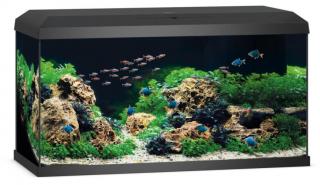 Juwel Primo 110 2.0 LED akvárium szett fekete