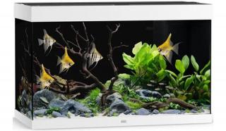 Juwel Rio 290 LED akvárium szett fehér