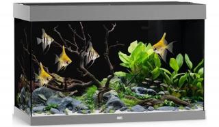 Juwel Rio 290 LED akvárium szett szürke
