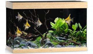 Juwel Rio 290 LED akvárium szett világos fa