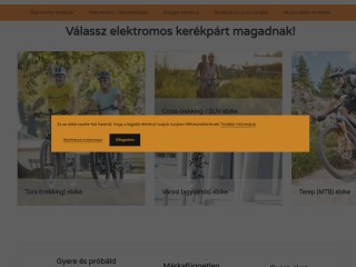 AM Bringa - Elektromos kerékpár - Ebike - Pedelec