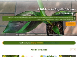 Bananfa.hu - banán növény és egzotikum