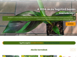 Bananfa.hu - banán növény és egzotikum