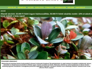 www.borneoplants.hu webáruház