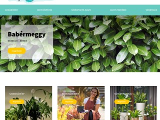 Dísznövények, bokrok, fák, gyümölcstermők - Virag-online.hu